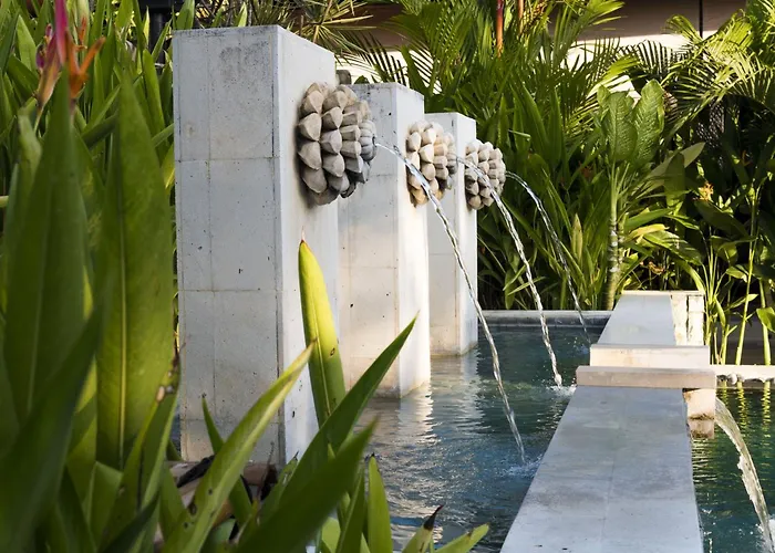Avani Bali